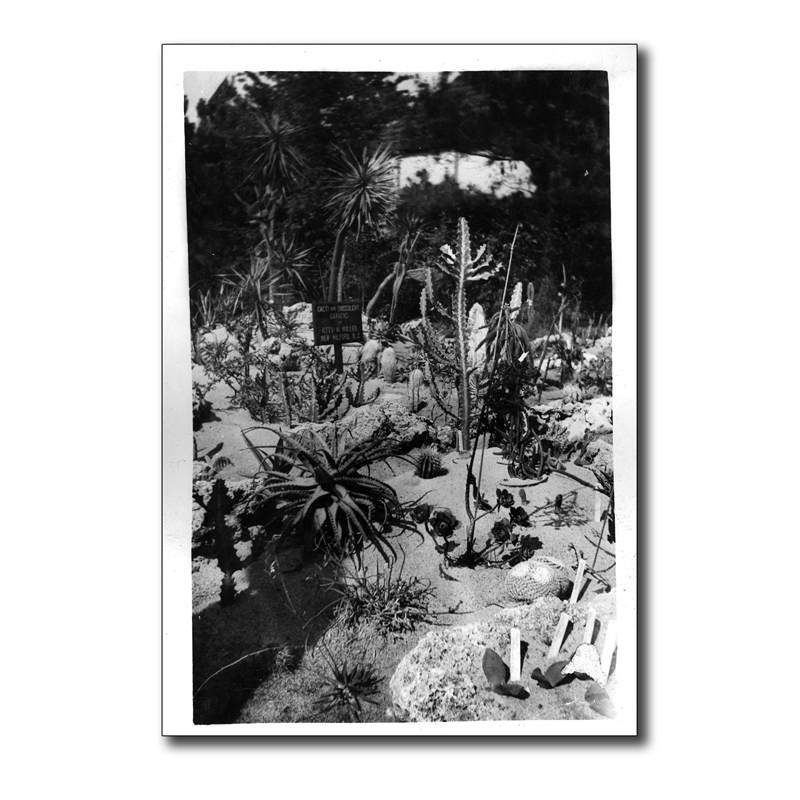 Weiler Photo Album