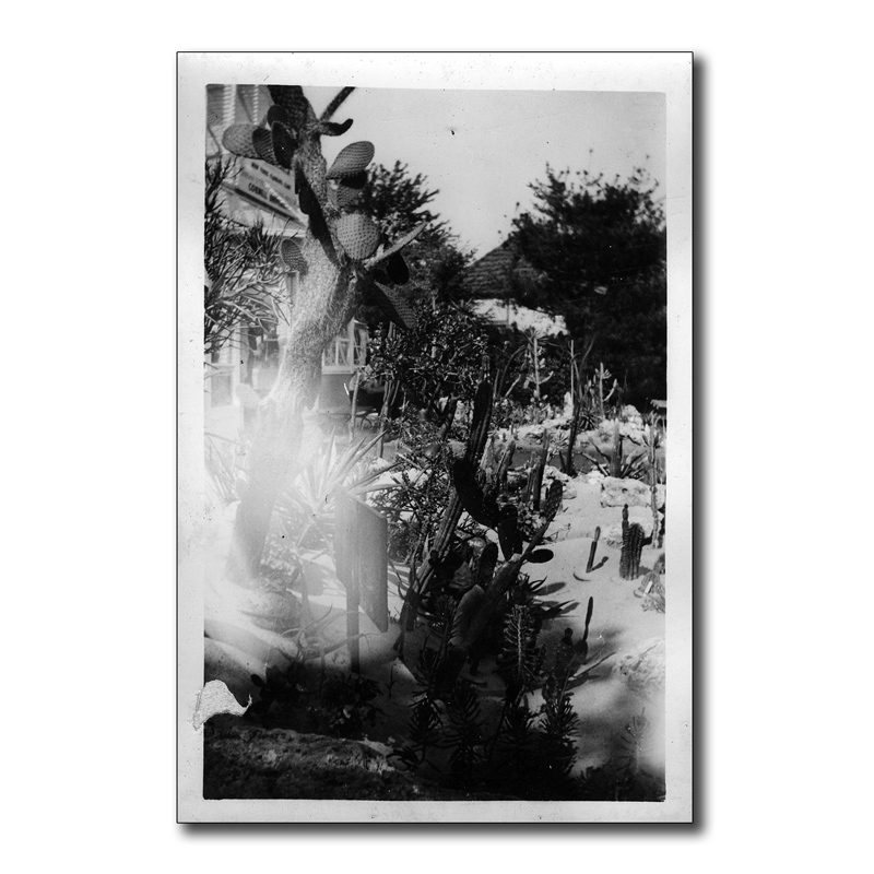 Weiler Photo Album