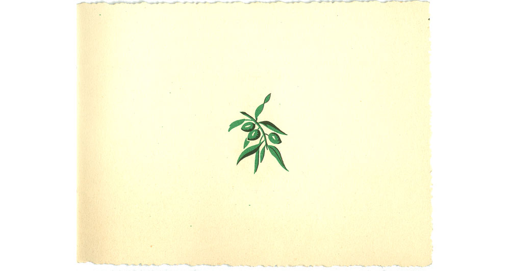 Olive Oil from Portugal