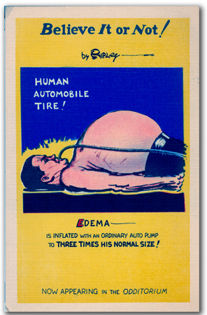 Official Post Card of RIPLEY’S