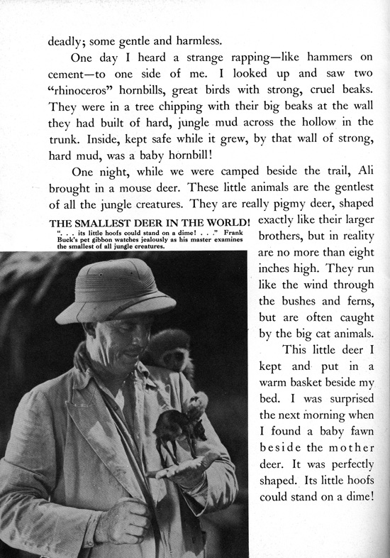 Frank Buck's Jungleland