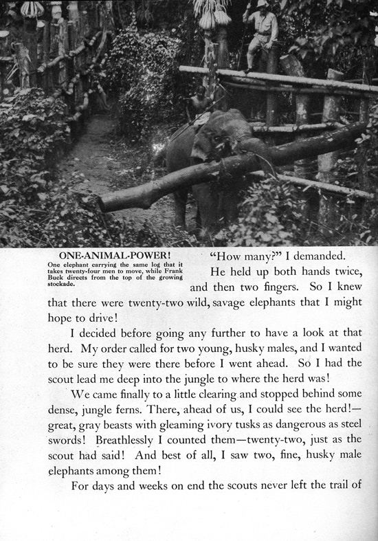 Frank Buck's Jungleland