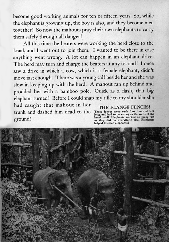 Frank Buck's Jungleland