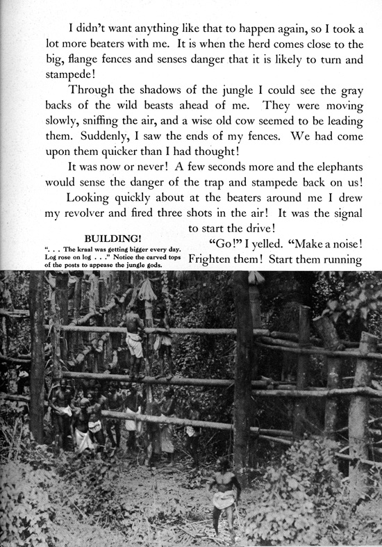 Frank Buck's Jungleland