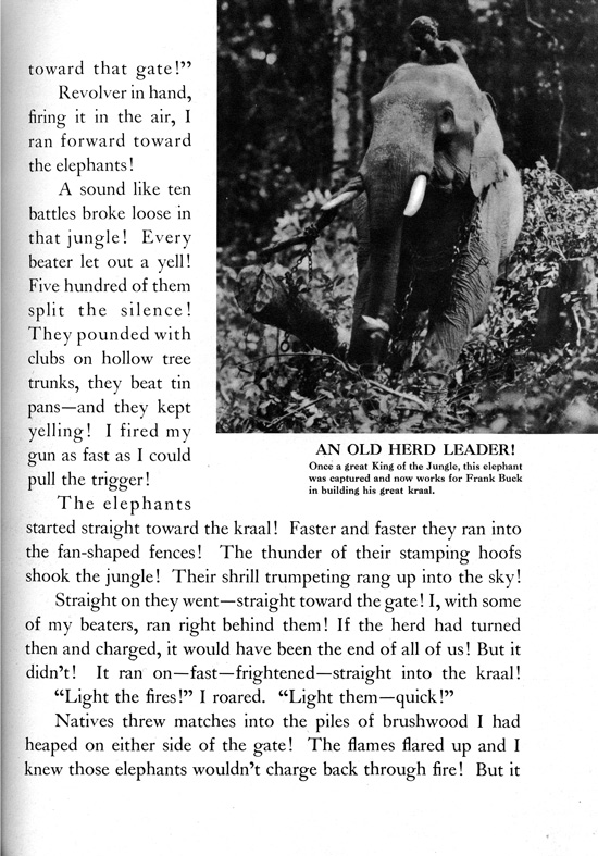 Frank Buck's Jungleland