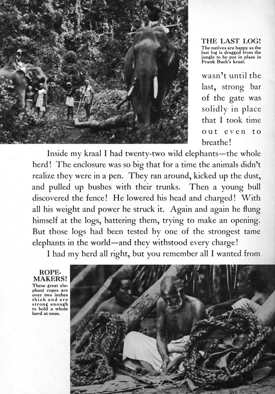 Frank Buck's Jungleland