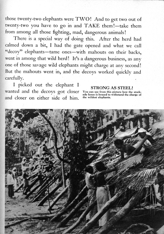 Frank Buck's Jungleland