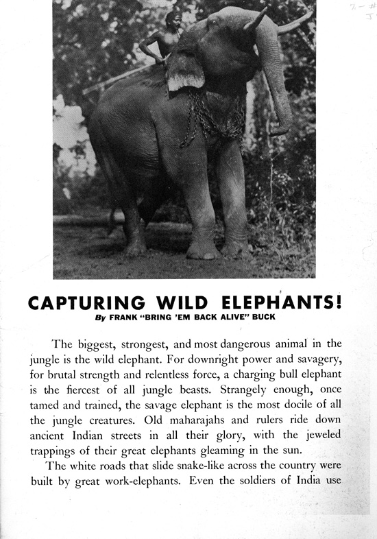 Frank Buck's Jungleland