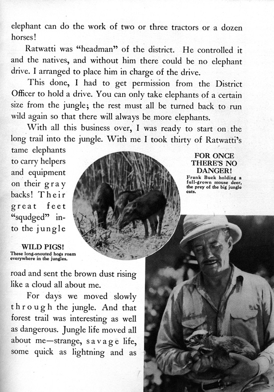Frank Buck's Jungleland