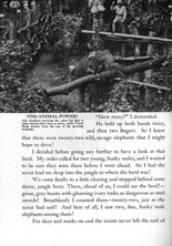 Frank%20Buck's%20Jungleland image 16