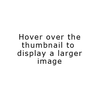 Large View