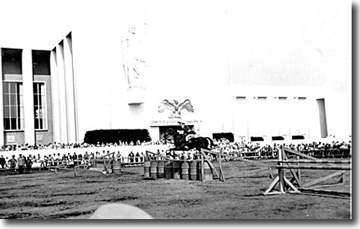 Equestrian Event - Photo 064