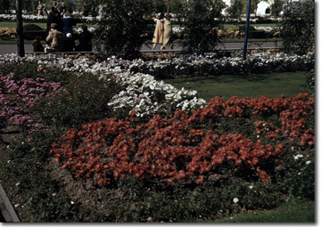 Gardens on Parade