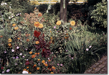 gardens on parade - flowers