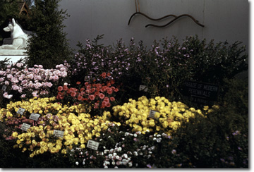 Gardens on Parade