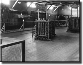 Jungleland Camp - Leopard Trap in the center of the floor.