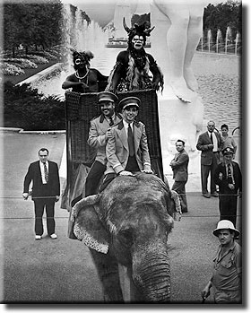 Frank Buck and elephant at the 39 Worlds's Fair