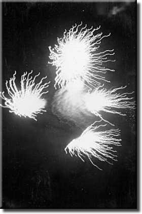 Fireworks on Fountain Lake