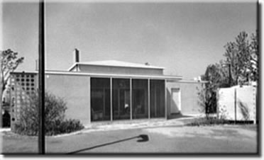 House 2 - The Plywood House - rear
