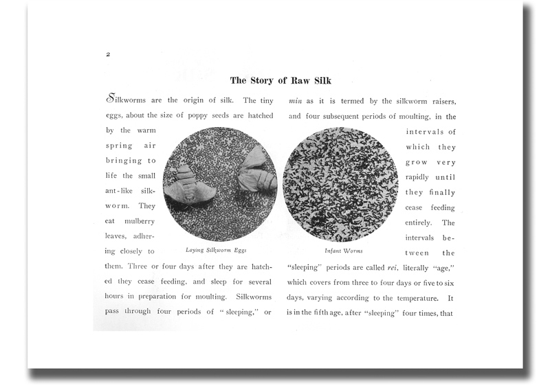 The Story of Silk