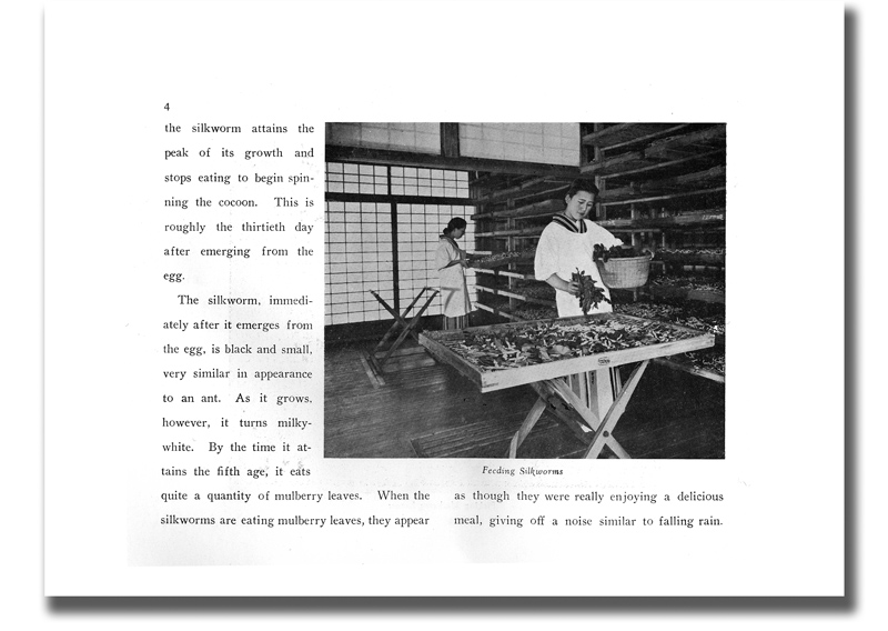 The Story of Silk