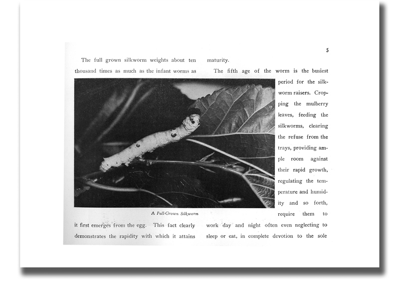 The Story of Silk